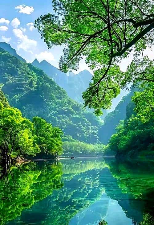 渔家傲•青山悟