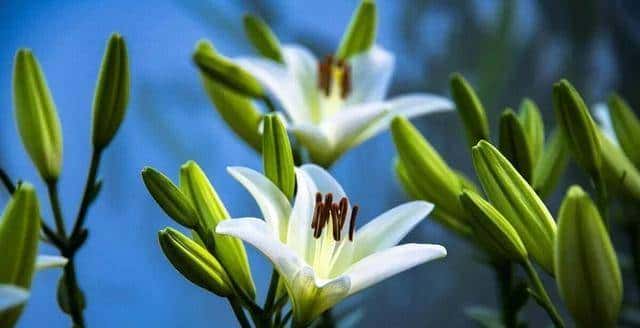 做亲家之前,撕破脸皮也要问清对方3件事,这不叫势力,是真机智