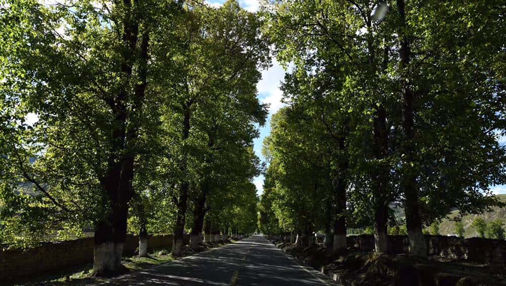 柴油普拉多3000VX,3车4人自驾澜沧江源头,路程艰险