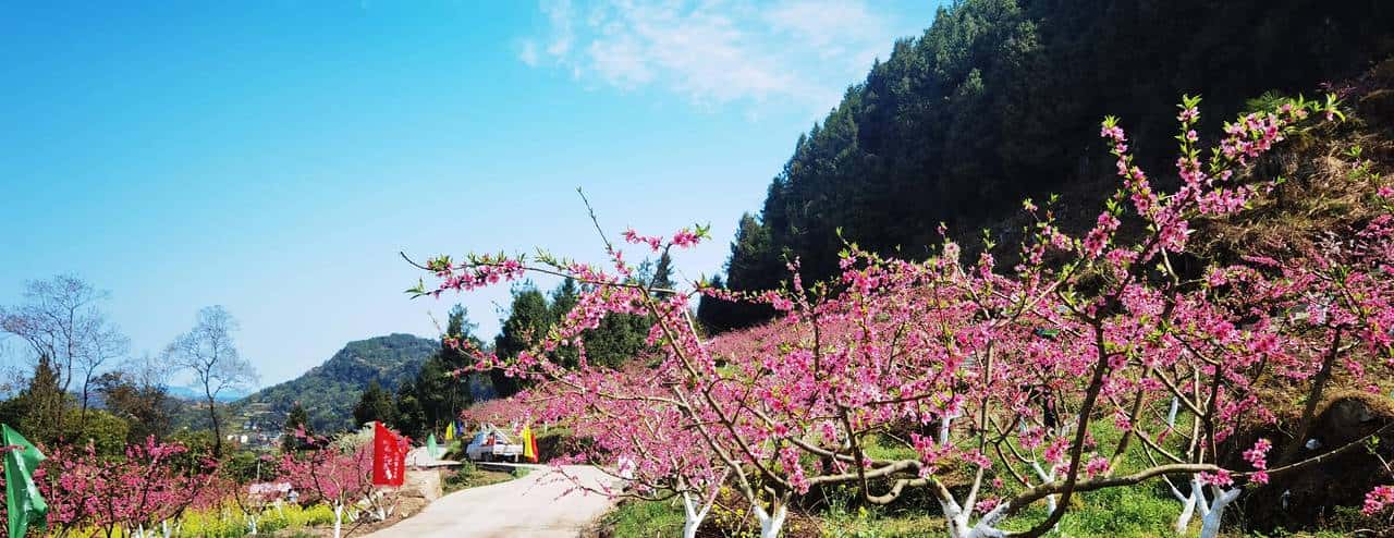 三月，去渠马邂逅色彩斑斓的春天