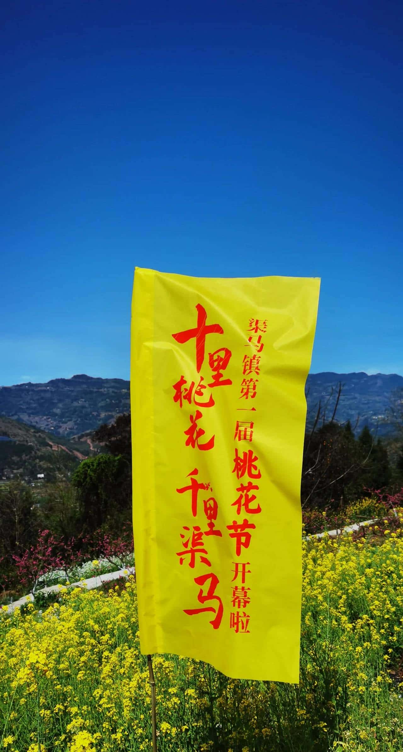 三月，去渠马邂逅色彩斑斓的春天