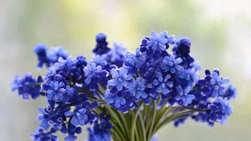 挺好用!shell脚本日志技巧