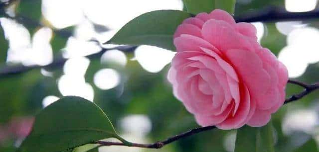 做亲家之前,撕破脸皮也要问清对方3件事,这不叫势力,是真机智