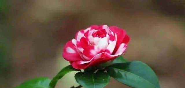 做亲家之前,撕破脸皮也要问清对方3件事,这不叫势力,是真机智