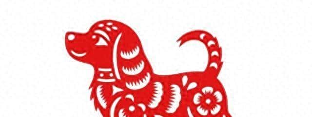 属狗人最硬的底牌，不是钱而是这4样东西！