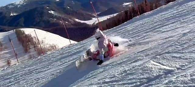 婵宝呀，婵宝，我求求你了，要不你改行滑雪吧