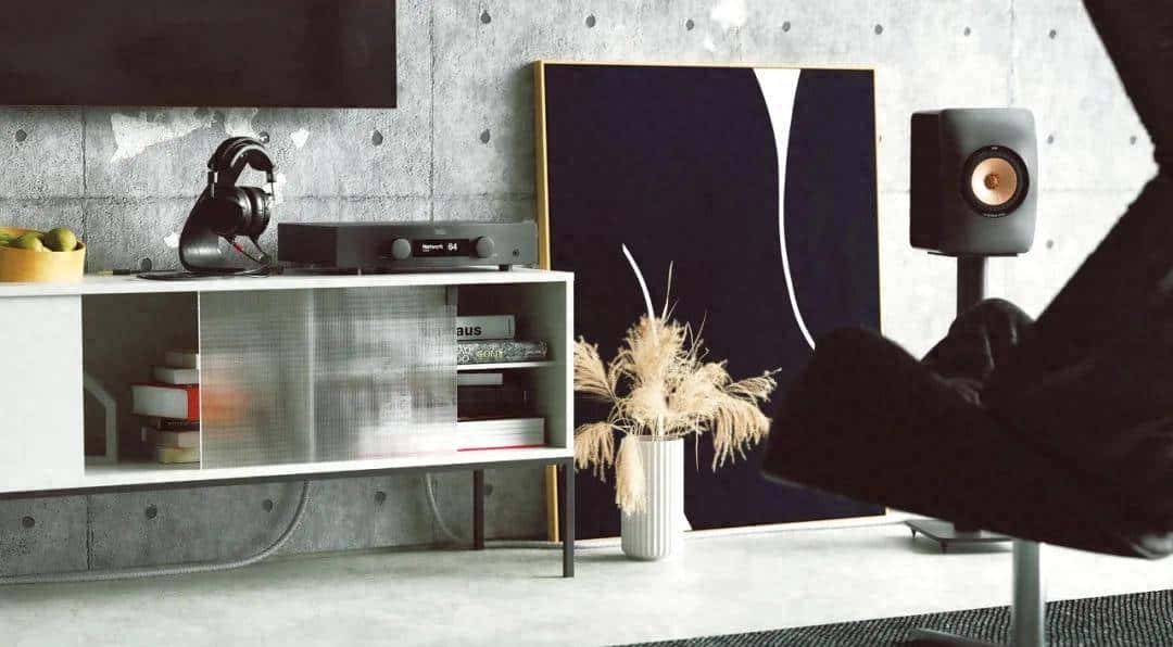 HEGEL H95合并式放大器