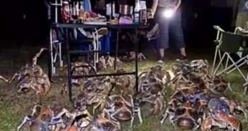 台战机清晨紧急起飞模拟制敌空袭;国航客机内有乘客自杀身亡 ;美国警察从示威者头上碾过