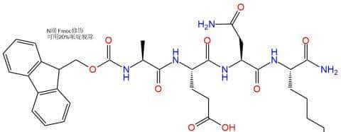 选择性天冬酰胺内肽酶AEP抑制肽Fmoc-AENK-NH2