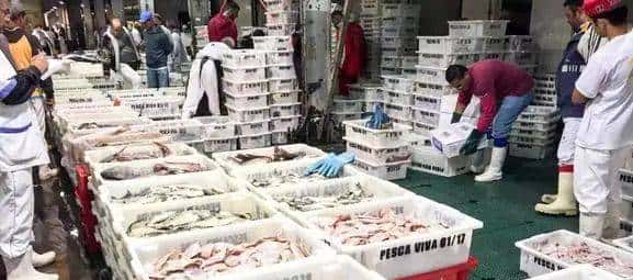 台战机清晨紧急起飞模拟制敌空袭;国航客机内有乘客自杀身亡 ;美国警察从示威者头上碾过