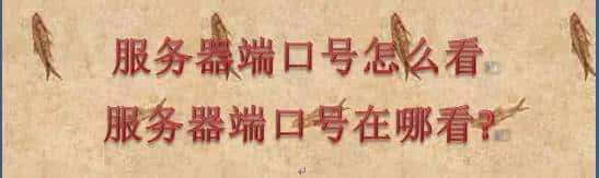 服务器端口号怎么看，服务器端口号在哪看?