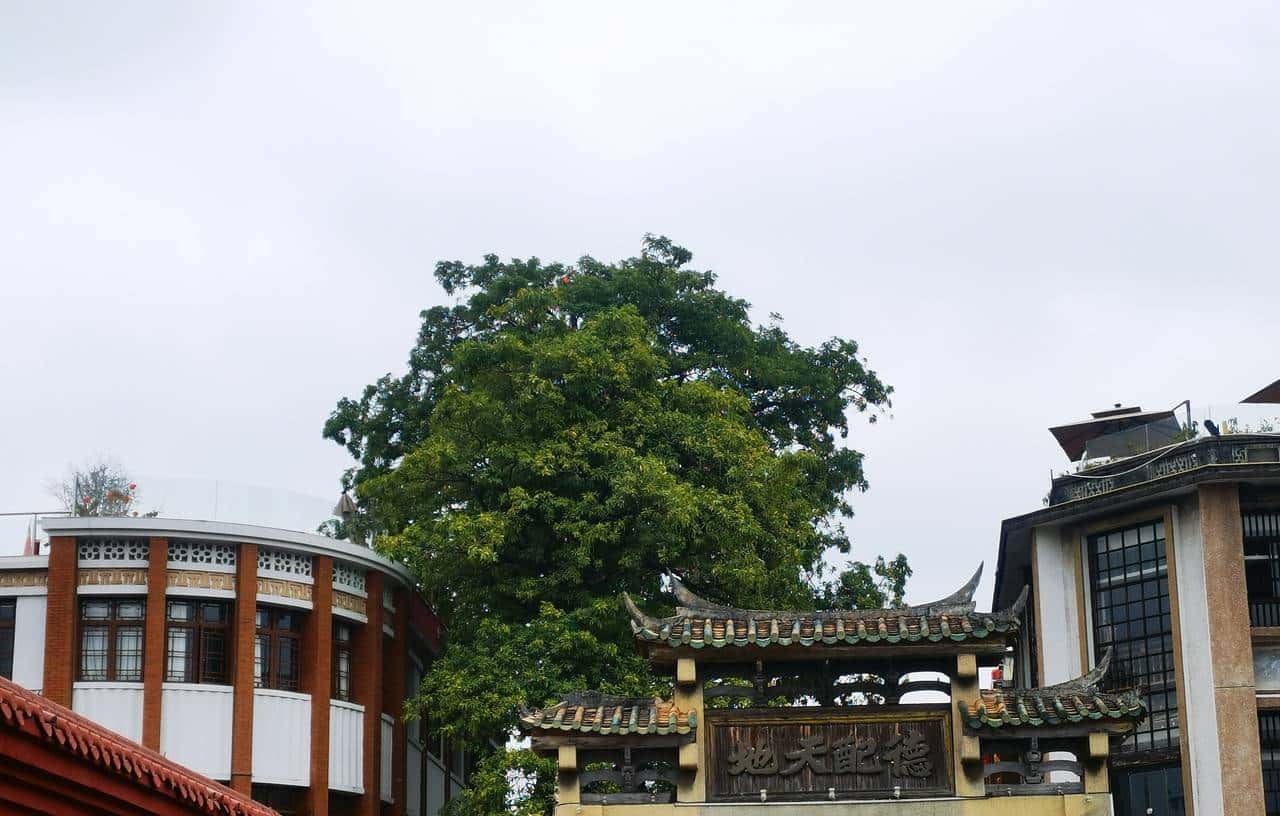 时钟慢摆话漳州之二