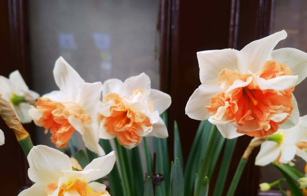 时钟慢摆话漳州之二