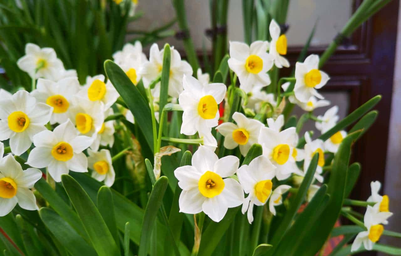 时钟慢摆话漳州之二