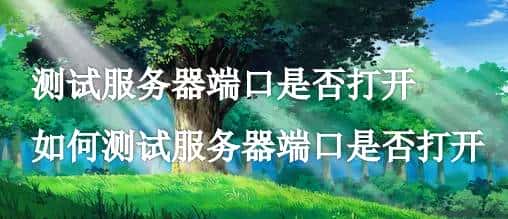 测试服务器端口是否打开,如何测试服务器端口是否打开
