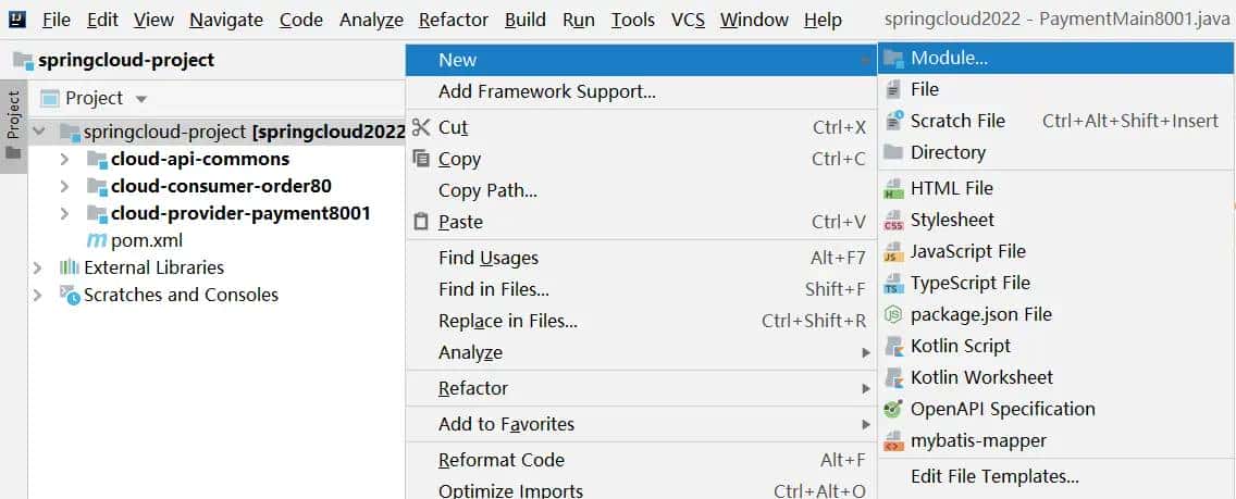 SpringCloud无介绍快使用,单机Eureka服务注册中心cloud-eureka-server7001搭建(十)