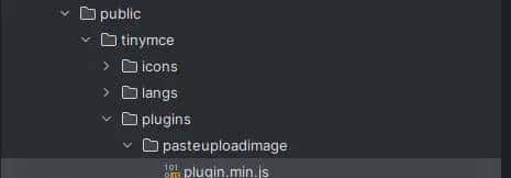 tinymce6 pasteuploadimage插件