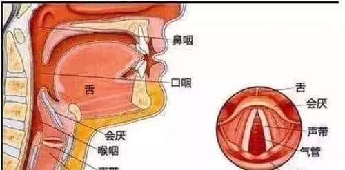 为什么趴桌子睡觉醒来会打嗝?| No.343