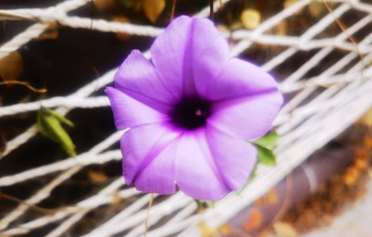 时钟慢摆话漳州之二