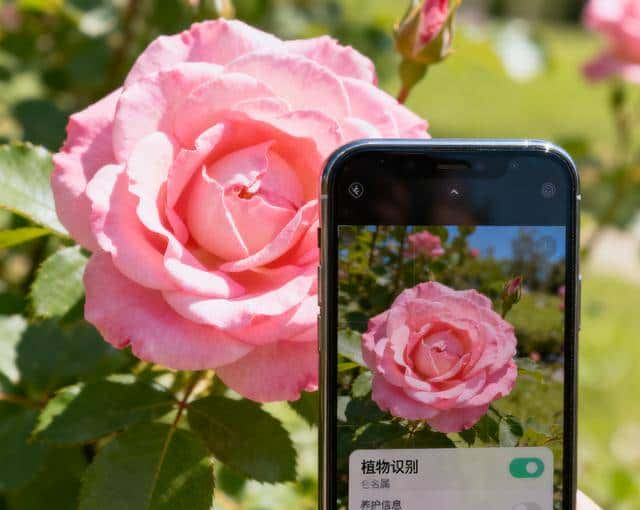 蚂蚁“灵光”开眼功能100个超实用指令集