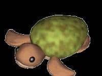 手把手教你开启移动公网IPv6~解放更多可能