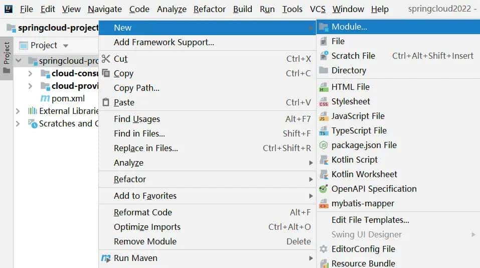 SpringCloud无介绍快使用，新建cloud-api-commons公共模块module（九）