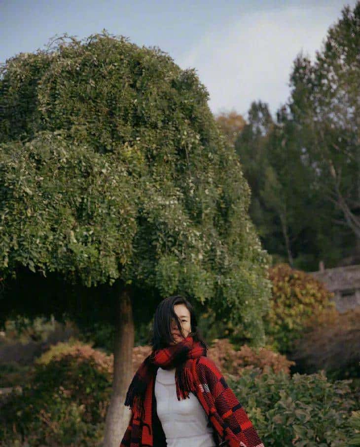 刘诗诗100%的红、娜娜50%的红,和IU 10%的红(红火安康)