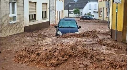 《X者》、《X林》的回旋镖,几十年后扎向了洋大人