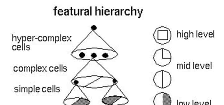 深入浅出讲解 | 一文入门神经网络