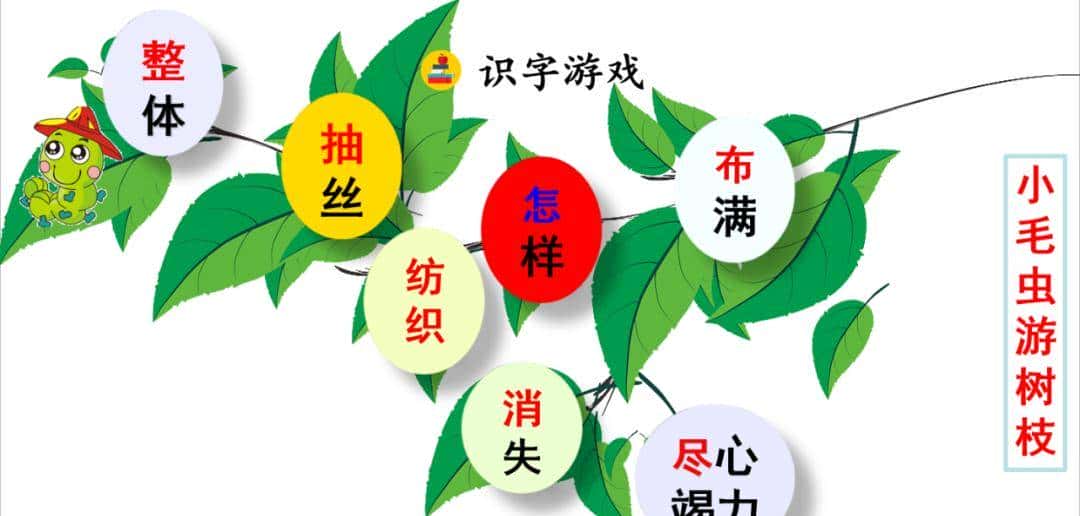 二年级下册语文课文22《小毛虫》图文详解及同步练习