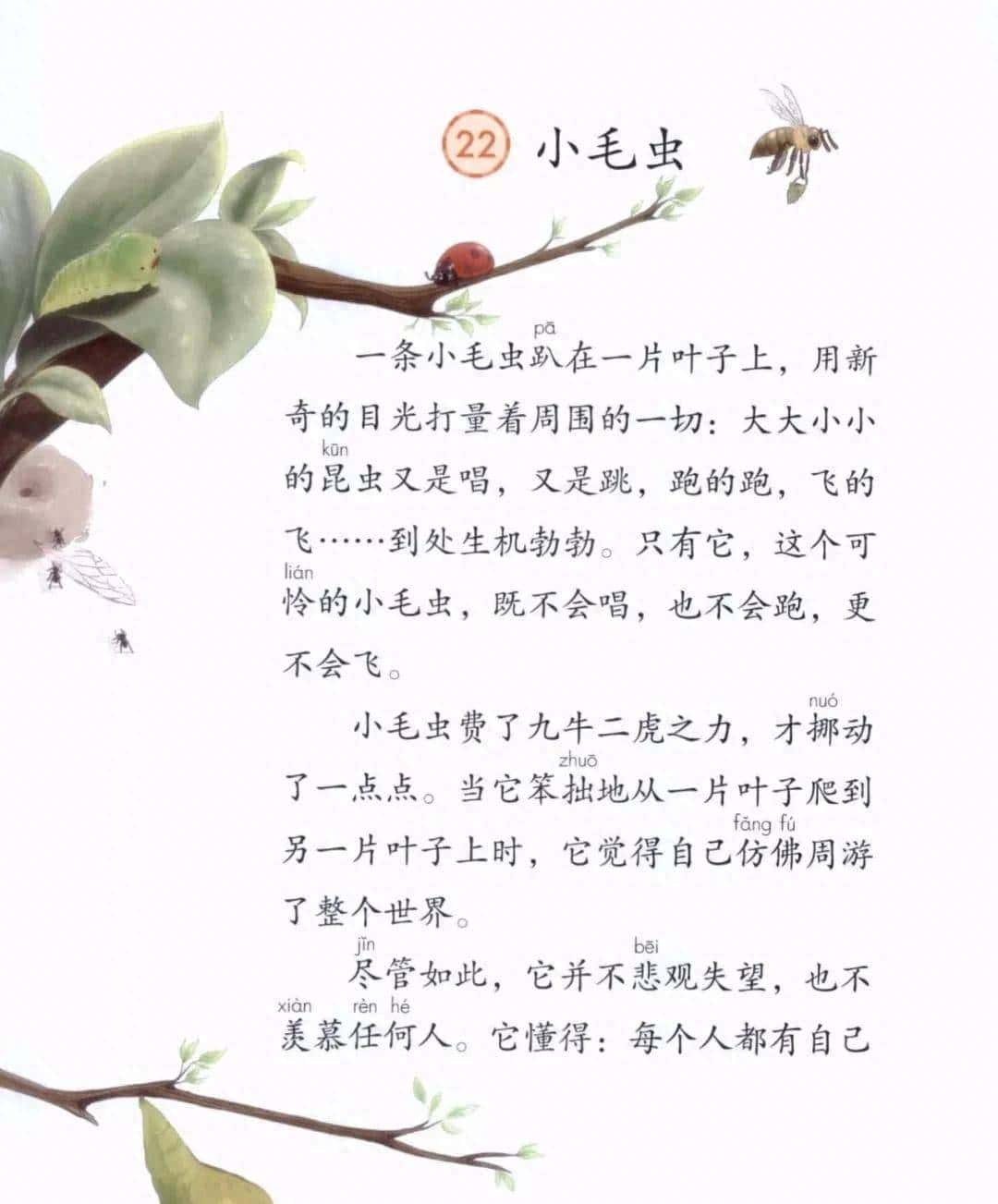 二年级下册语文课文22《小毛虫》图文详解及同步练习