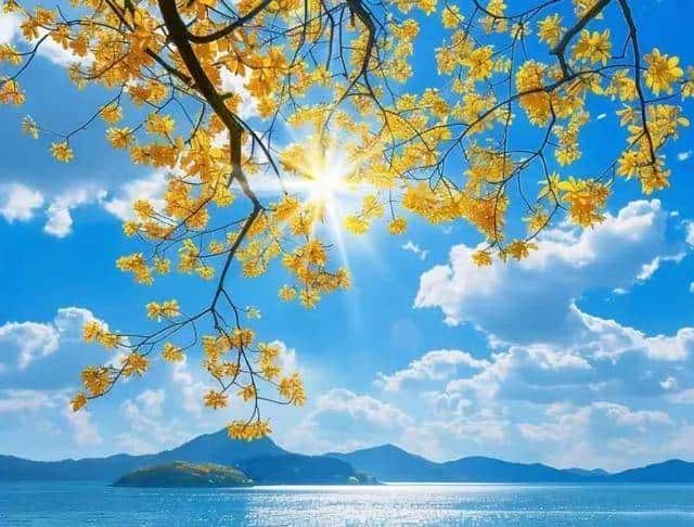 泄露一个天机?当你梦到这个场景,说明大福报到了