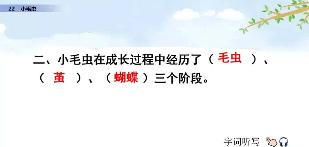 二年级下册语文课文22《小毛虫》图文详解及同步练习