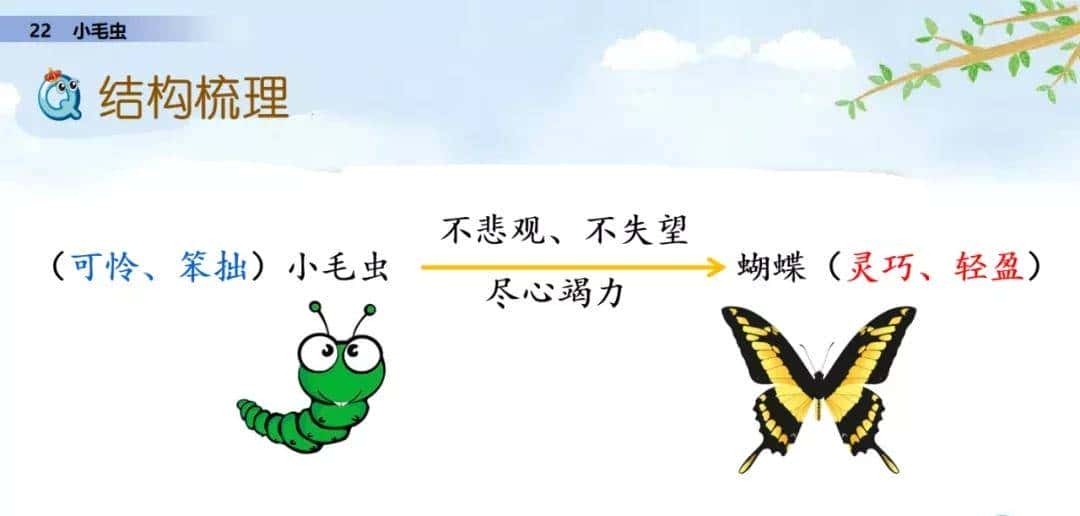 二年级下册语文课文22《小毛虫》图文详解及同步练习