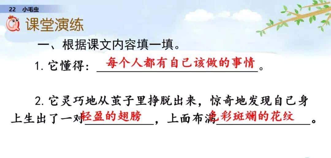 二年级下册语文课文22《小毛虫》图文详解及同步练习