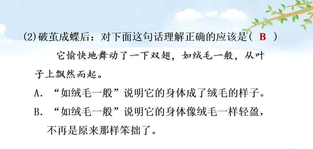 二年级下册语文课文22《小毛虫》图文详解及同步练习