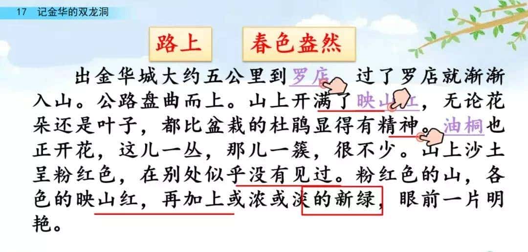 四年级下册语文第17课《记金华的双龙洞》图文详解及同步练习