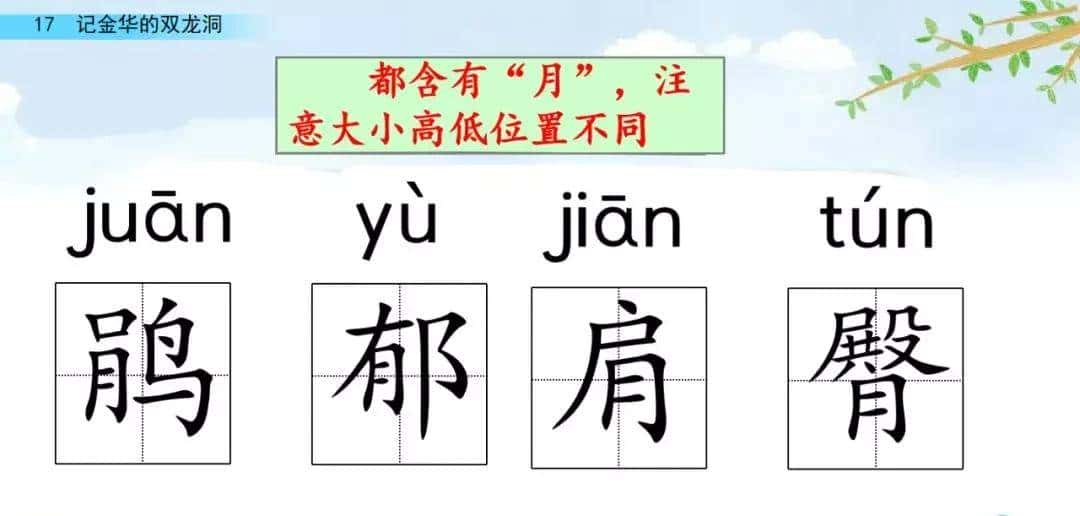 四年级下册语文第17课《记金华的双龙洞》图文详解及同步练习