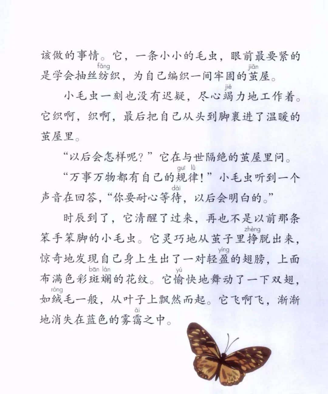 二年级下册语文课文22《小毛虫》图文详解及同步练习