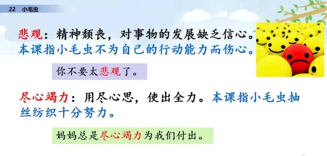 二年级下册语文课文22《小毛虫》图文详解及同步练习