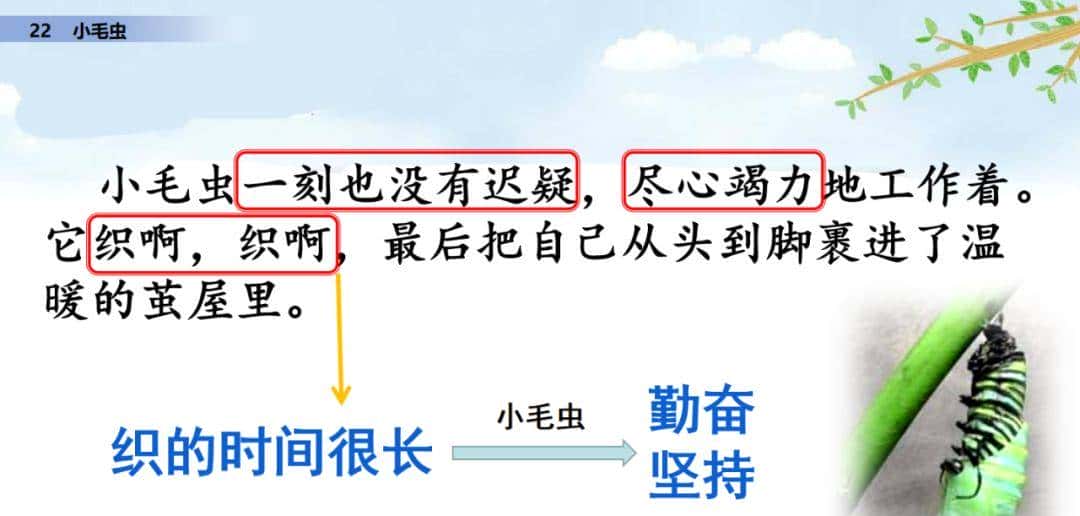 二年级下册语文课文22《小毛虫》图文详解及同步练习