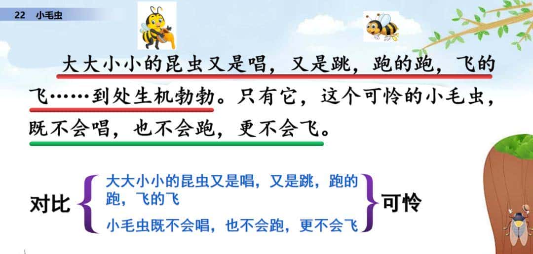 二年级下册语文课文22《小毛虫》图文详解及同步练习