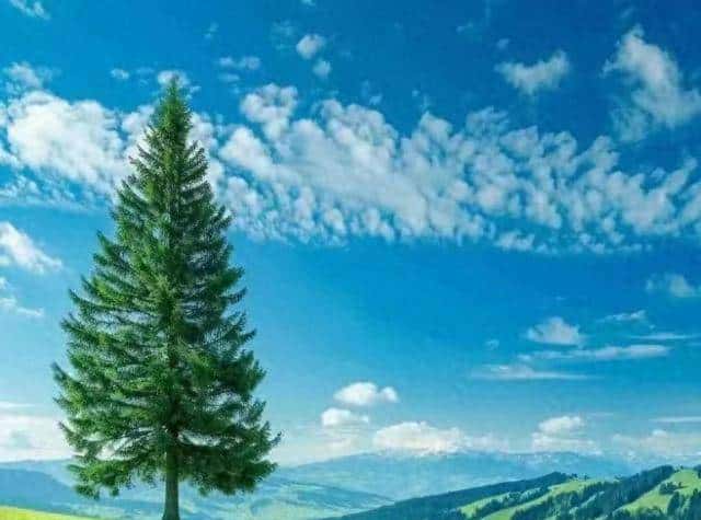 泄露一个天机?当你梦到这个场景,说明大福报到了