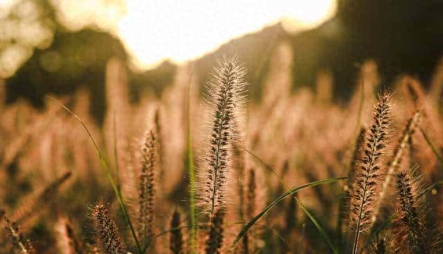 “一辈子都写不出的神仙句子,我帮你整理了28句,喜爱自取”