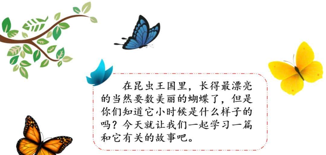 二年级下册语文课文22《小毛虫》图文详解及同步练习