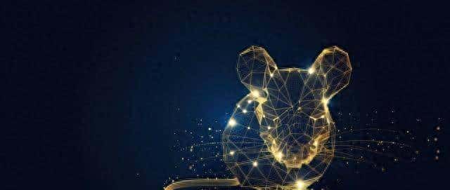 属鼠人2026年好运拉满。接住旺气顺一整年