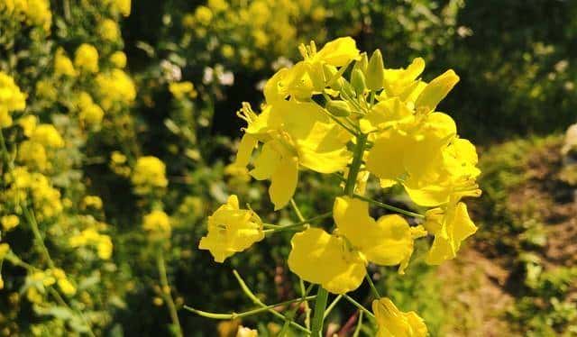 婚内出轨最正确的处理方法是什么!看完直呼:受益匪浅。