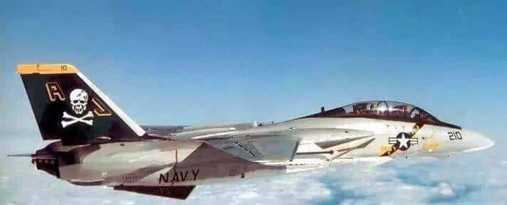 终于扒到你，F-14“雄猫”！扒一扒美国喷气式战斗机家族谱