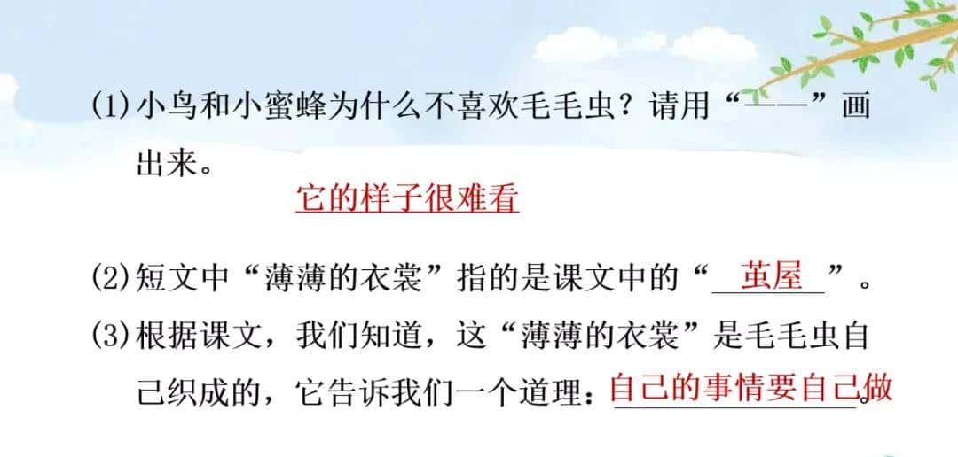二年级下册语文课文22《小毛虫》图文详解及同步练习