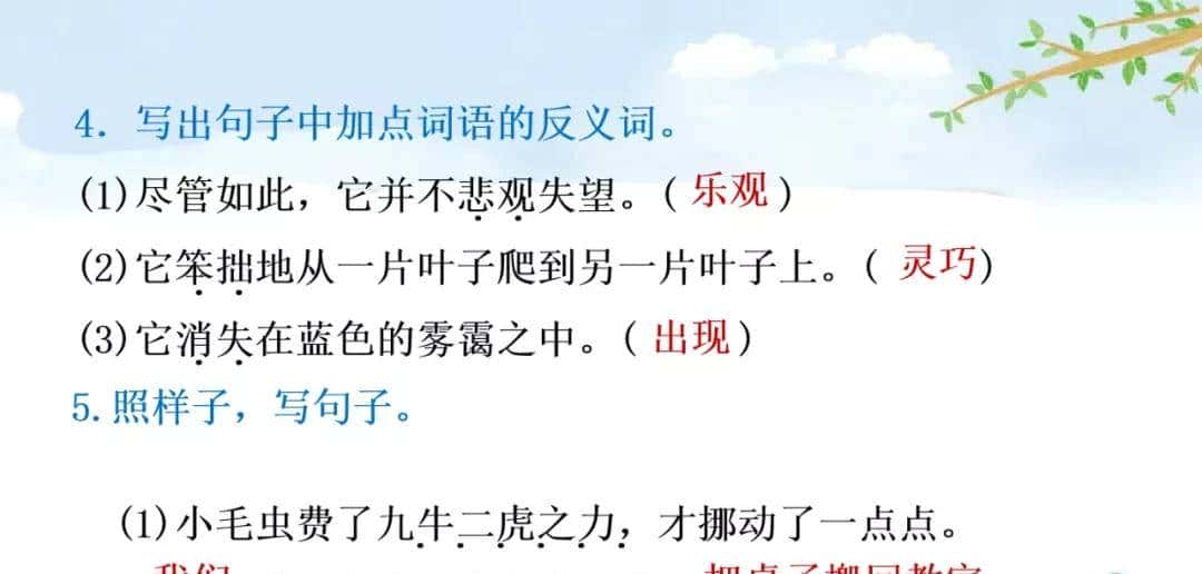 二年级下册语文课文22《小毛虫》图文详解及同步练习